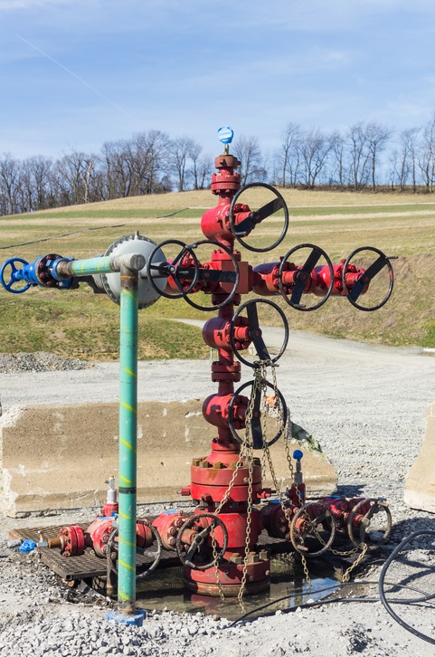 A natural gas wellhead